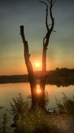 Silhouette tree by lake against sky during sunset