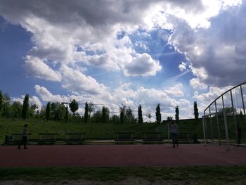 Trees against sky