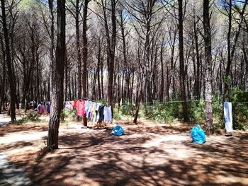 View of people sitting on tree trunk