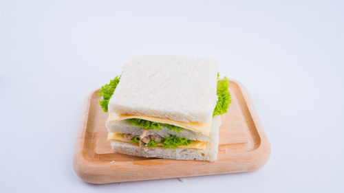 Close-up of sandwich against white background