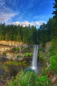 Scenic view of waterfall against trees in forest