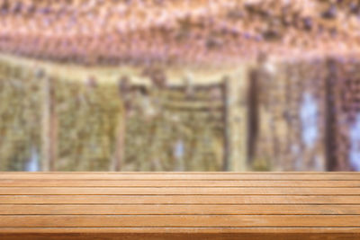 Full frame shot of wooden bench