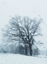 Scenic view of snow covered landscape