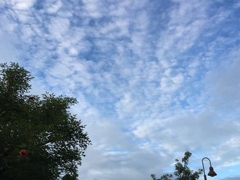 Low angle view of trees against cloudy sky