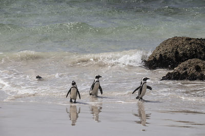 Group of people on beach