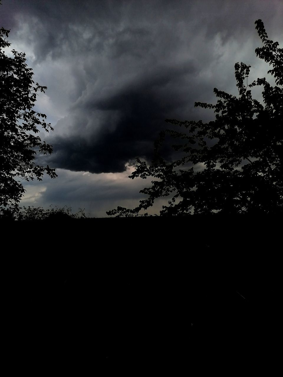 . это точно не любовь. весна 봄 Spring Photo Photography Sky Rain 비 Дождь #Nature  #beautiful #EyeEm #naturephotography #naturelove #naturalbeauty #naturelovers #streetphotography #природа деревья дерево #evening Photooftheday