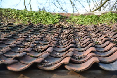 Low angle view of roof tile