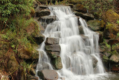 Scenic view of waterfall in forest