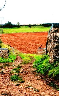 Agricultural field against sky