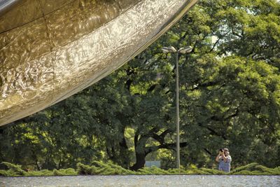 Full length of woman standing on tree trunk