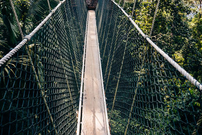 View of footbridge in forest