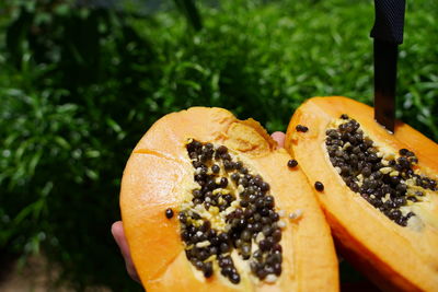 Close-up of orange slice