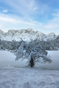 The panorama of the lake of fusine, tarvisio, frozen in winter