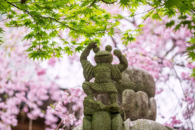 Frog statue with pink sakura blossom cherry tree at nyoirinji temple, ogori, fukuoka, japan.