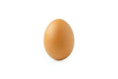 Close-up of egg against white background