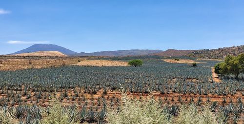 Scenic view of mountains against clear sky