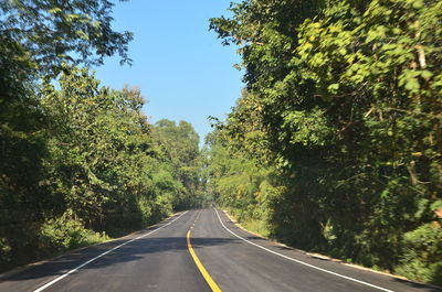 Road amidst trees against clear sky