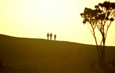 Full length of grass in field