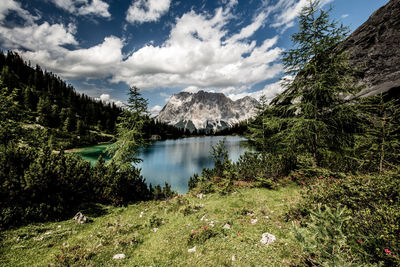 Scenic view of lake in forest against sky