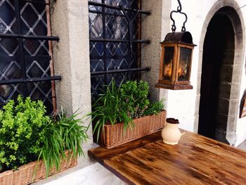 Potted plants against window