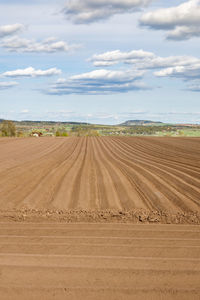 Scenic view of agricultural field against sky