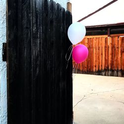 Close-up of balloons hanging on wall