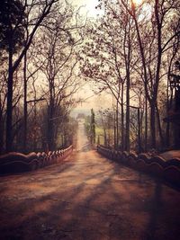 Footpath along bare trees