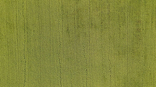 Full frame shot of textured wall