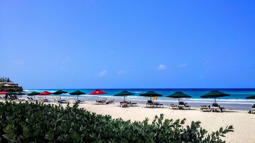 Parasols at beach against blue sky