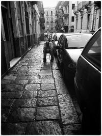 People on car in city