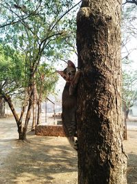 Cat on tree trunk