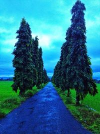 Road passing through landscape