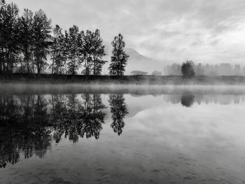 Reflection of trees in lake against sky