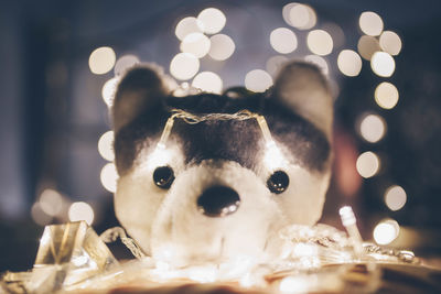 Close-up of teddy bear with illuminated string lights