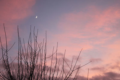 Low angle view of moon against sky at sunset