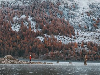 Scenic view of forest during winter