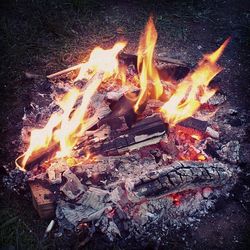 Close-up of campfire