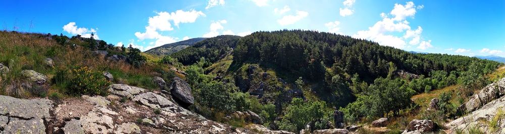 Panoramic view of trees and mountains against sky