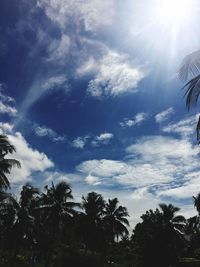 Low angle view of trees against sky