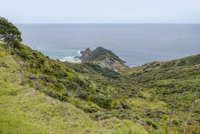 Coastal scenery with rock formation around cape reinga at the north island in new zealand