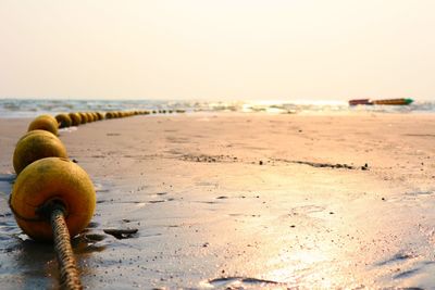 Close-up of apple on beach against clear sky