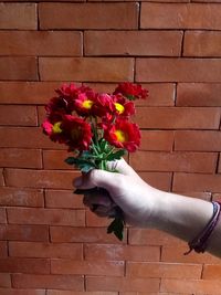 Close-up of hand holding flowers against brick wall