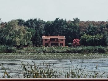 Plants growing by lake and building against sky