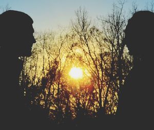 Silhouette of trees at sunset