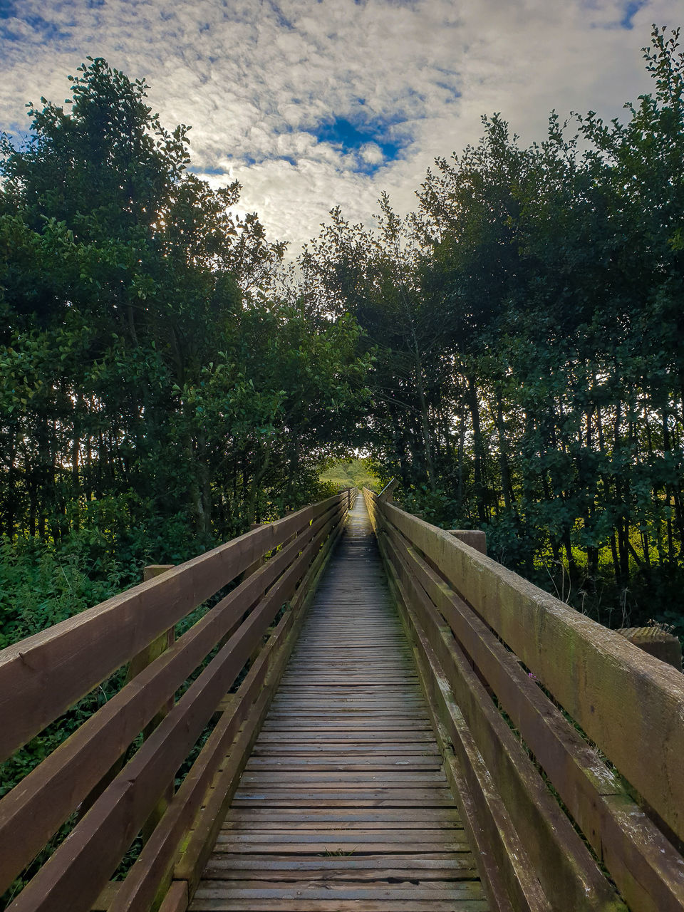 WOODEN FOOTBRIDGE ALONG TREES AND PLANTS