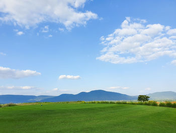 Scenic view of field against sky