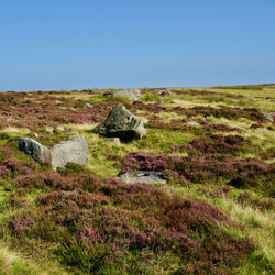 Scenic view of land against clear sky