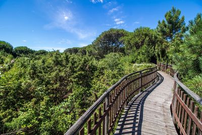 Footbridge amidst trees against sky