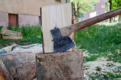 Ax pinned in the stump, cuts of trees, firewood, preparing for cold days, chopping wood