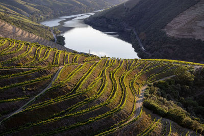 High angle view of landscape